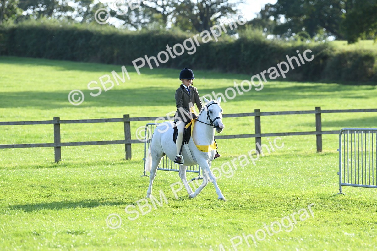 SBM_52455 - S22 - 1st Ridden Show & Show Hunter Pony