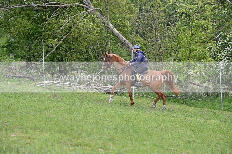 WJ6_3254 - A camera