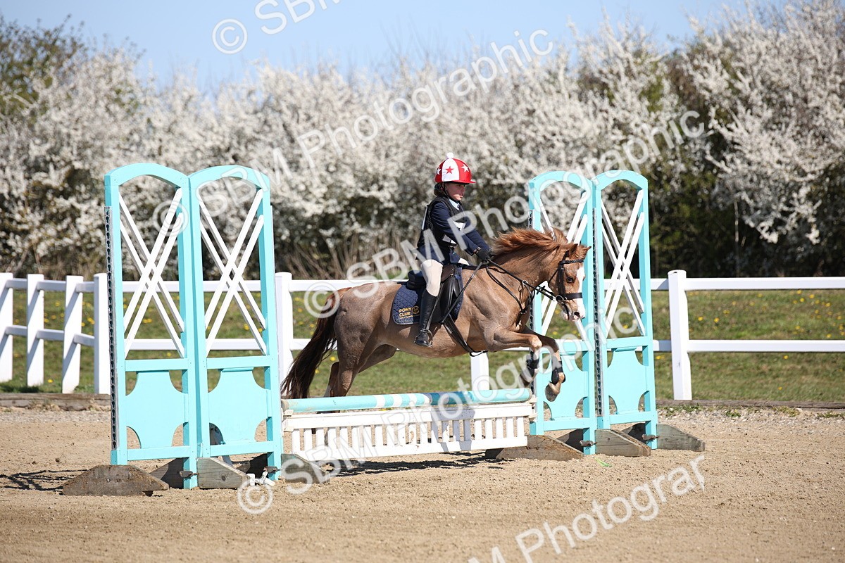 SBM_000789 - Class 2 - 50cm