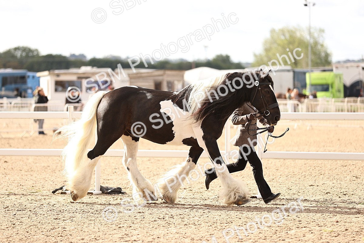 SBM_09288 - Class 404 - IH Traditional - Native Cob