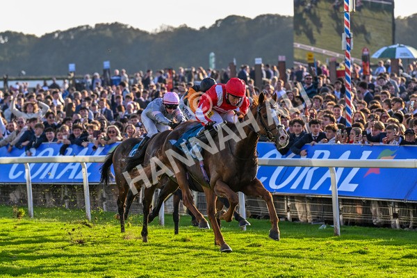 111025-Race 6-Berkshire Sundance-0640 - Race 6 Coral Racing Club Stayers Handicap at York