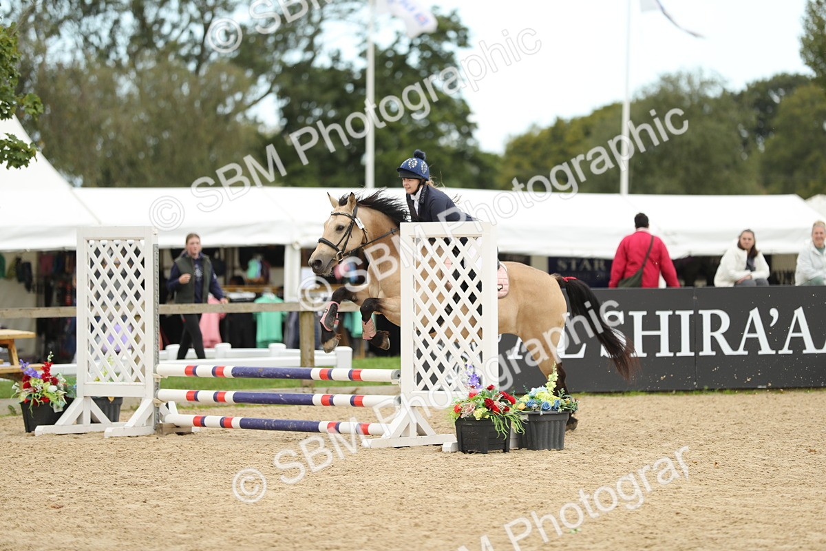 SBM_04550 - J28 - Senior Horse & Pony 60cm Championships