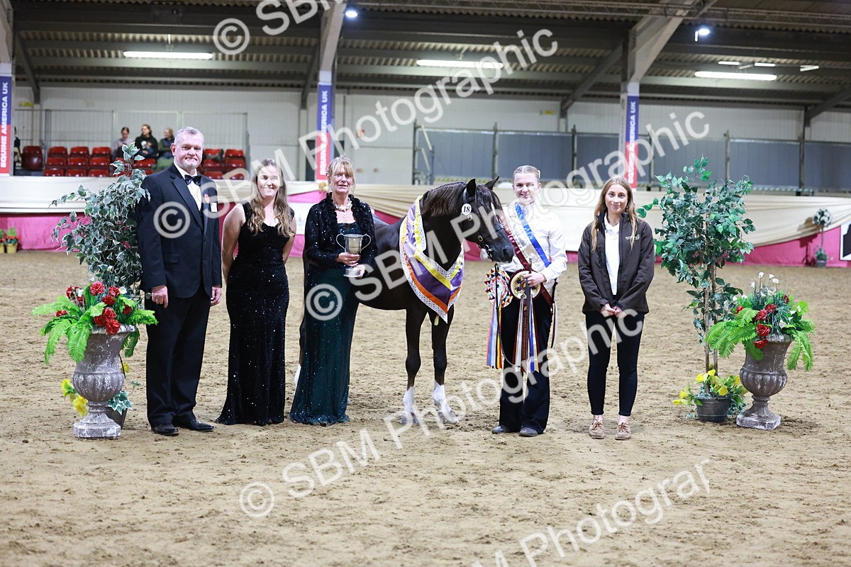 SBM_21080 - Class P - M&M Champs