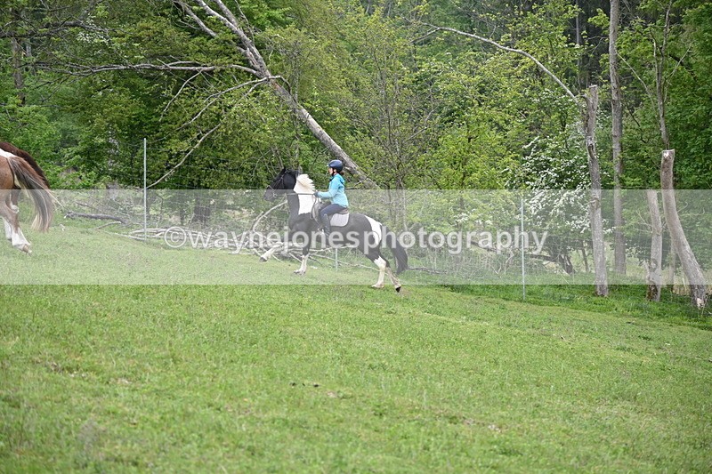 WJ6_3066 - A Camera