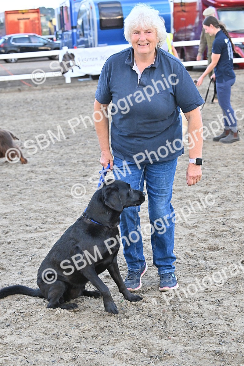 SBM_09552 - Lorry Dogs