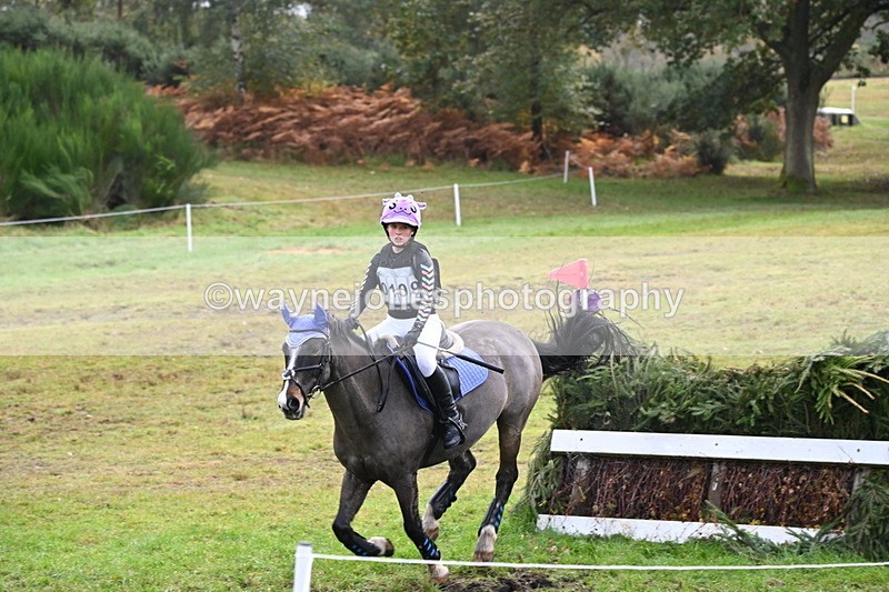 WJ6_1770 - 80cm Cam 1 Time 10:08 to 10:45