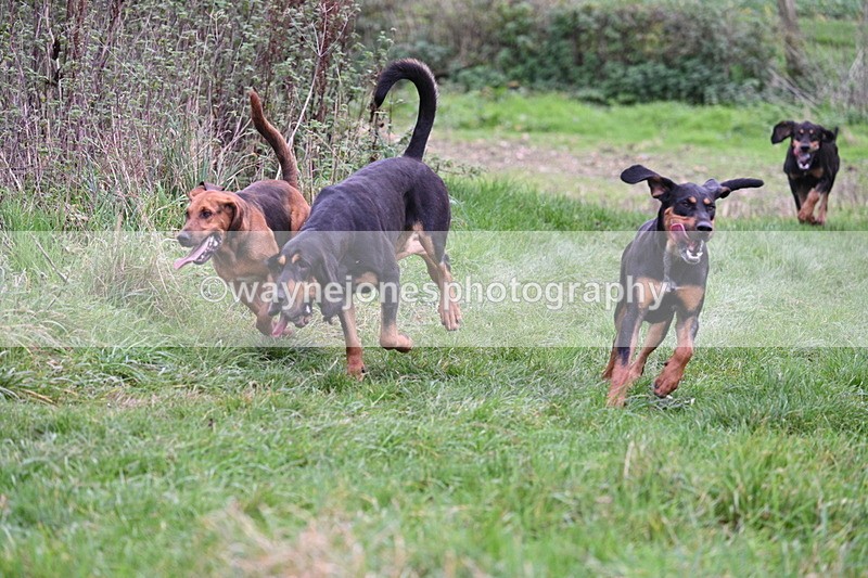 WJ7_8899 - Camera 1 only on this line