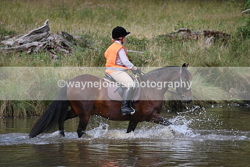 WJ7_0422 - Time at Water 09:19 to 10:04