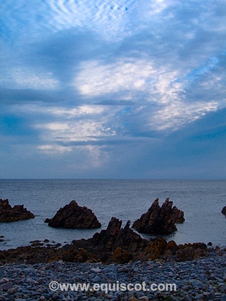  - Wildlife & Landscape