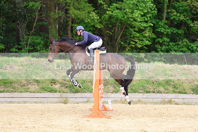 3E7A6219 - Class 4: Senior British Novice/90cm open