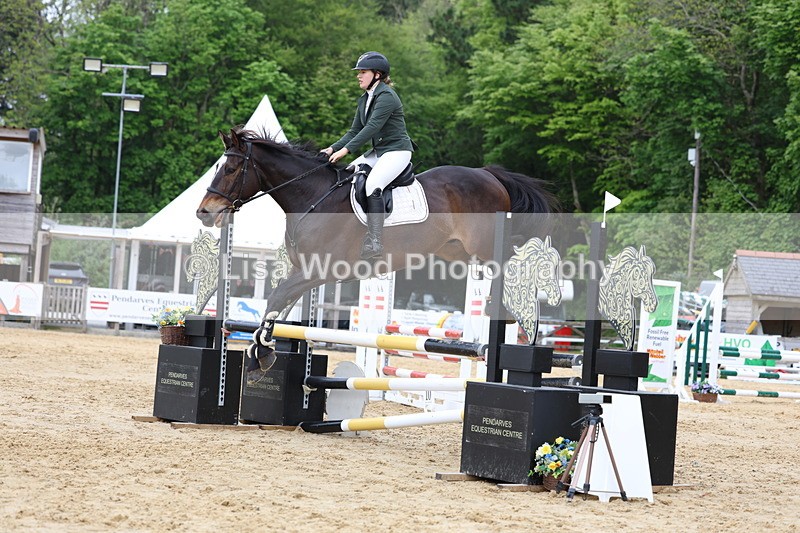 3E7A6537 - Class 4: Senior British Novice/90cm open