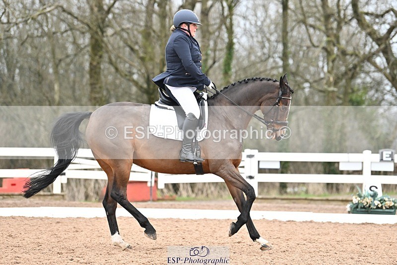 250216-120331-05194 - 114-Colleen.Hoekstra.Knox-Foxhill.Betty.Boo