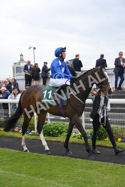 yr13052022r3-7 - Race 3 3.00pm Paddy Power 'I Love Steak' Stakes