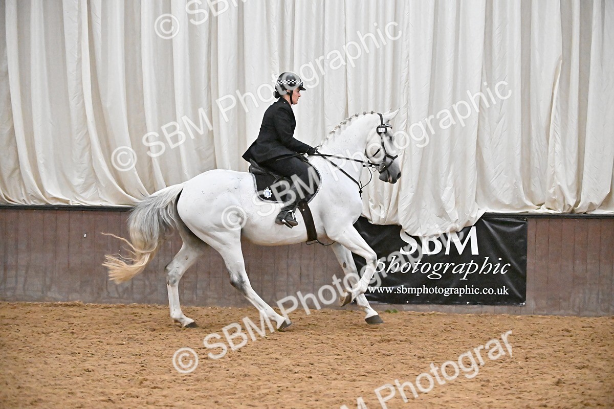 SBM_003053 - Class 37,38 - UKPSAF Performance Horse & Pony