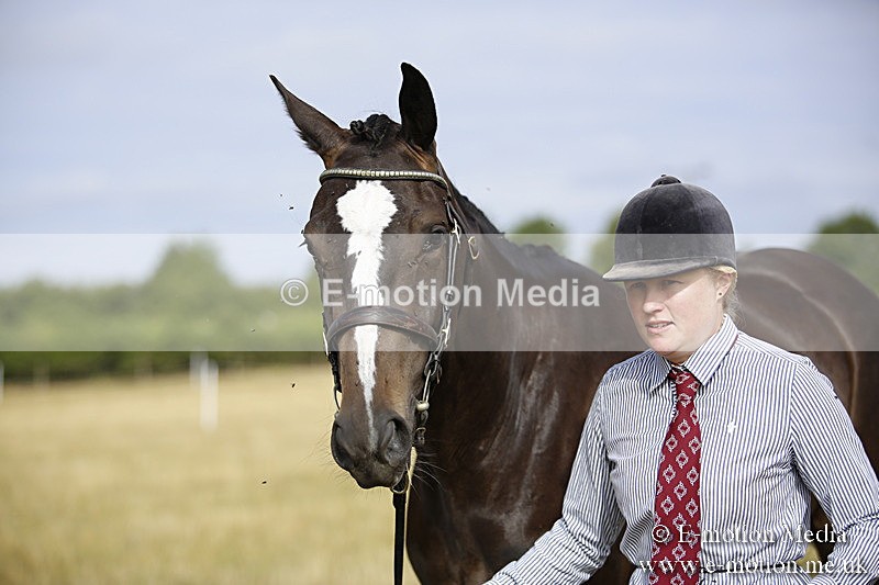 _C7A9118 - BVRC Sow 2018 Ring 2