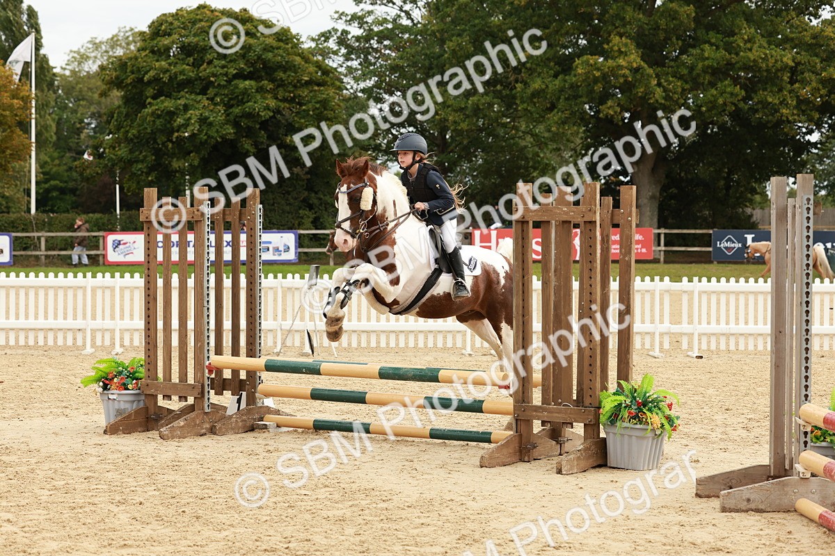SBM_66867 - J13 - Junior Pony 60cm Championship
