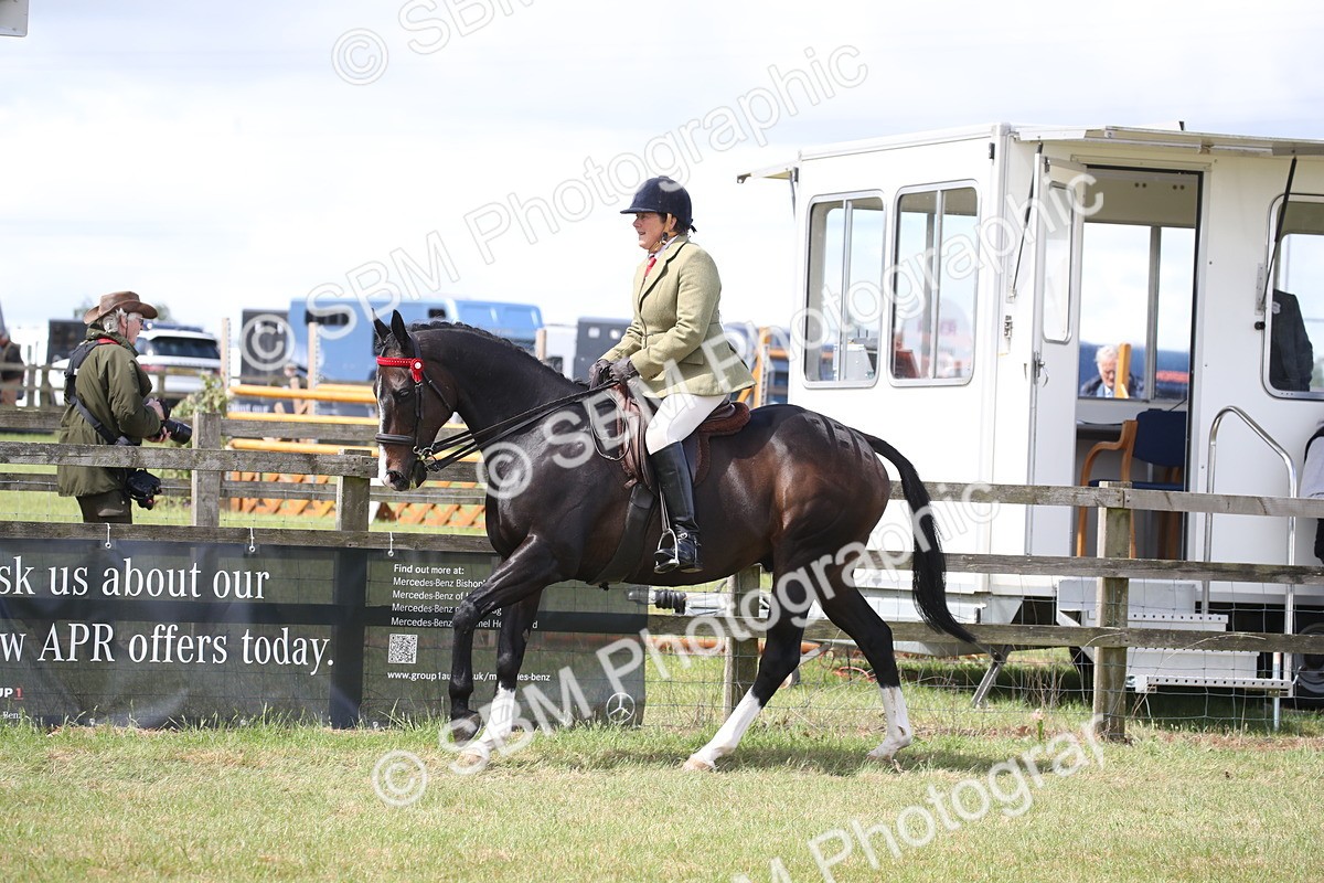 SBM_14197 - Class 113-114 - Retraining of Racehorses Ridden