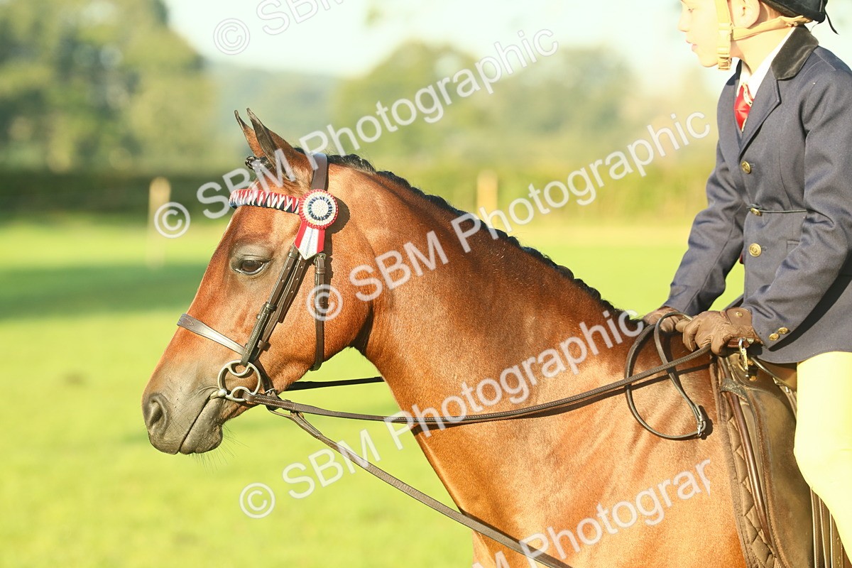 SBM_56711 - S36 - Starters Best Turnout