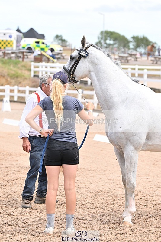 250716-142153-01036 - Trot Up 1.30 to 2.30