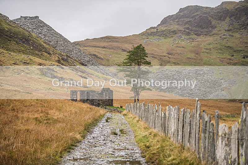 Kong MMM-935 - Kong Mini Mountain Marathon Round 3 North Wales Blaenau Ffestiniog  Sunday 27th November 2022