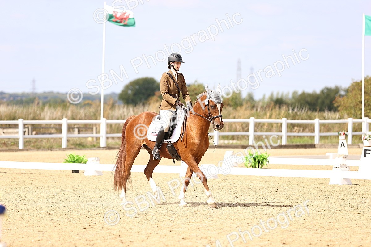 SBM_014972 - Class 6 - Elementary 5