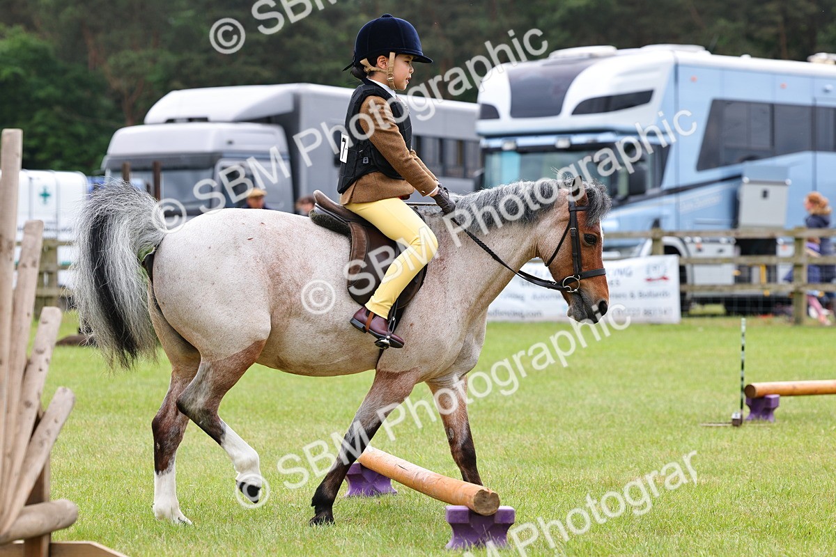 SBM_08598 - Class 42-43 - LIHS BSPS Heritage Working Sports Pony
