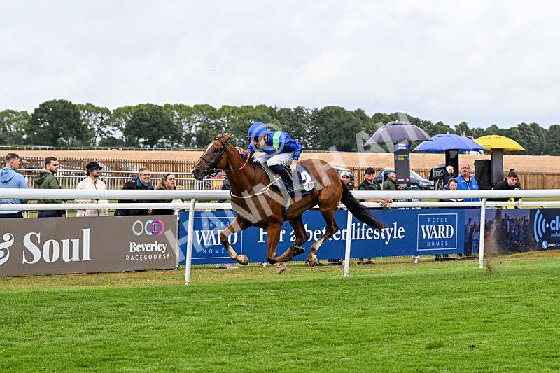 150725-Race 5-Sax Appeal-0783 - Race 5