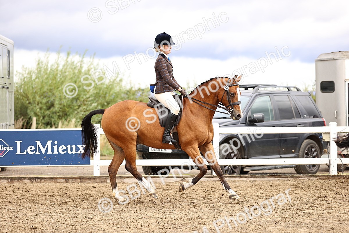 SBM_00569 - Class 53 - Ridden Competition Horse Pony