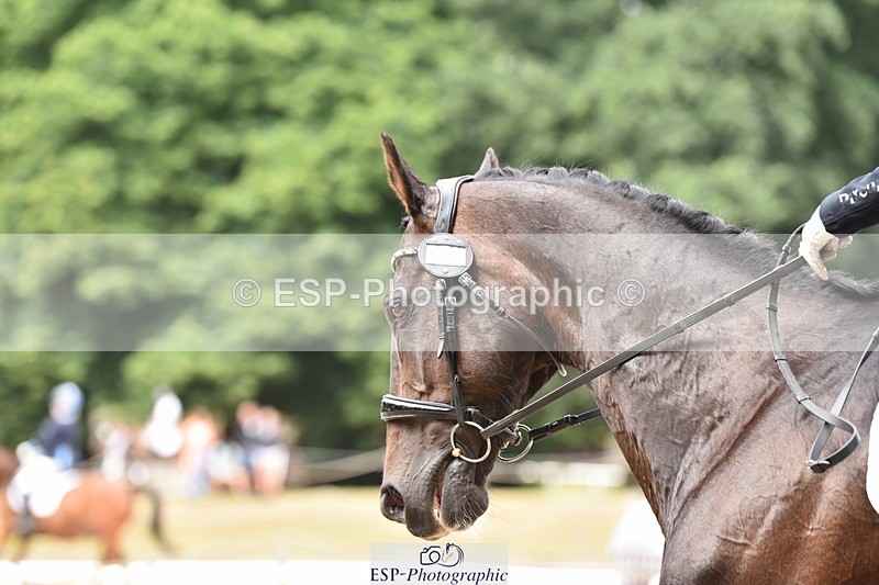 140110A-003502-10663 - 124-Latisha.Nazaruk-Southern.Cross.Brunei