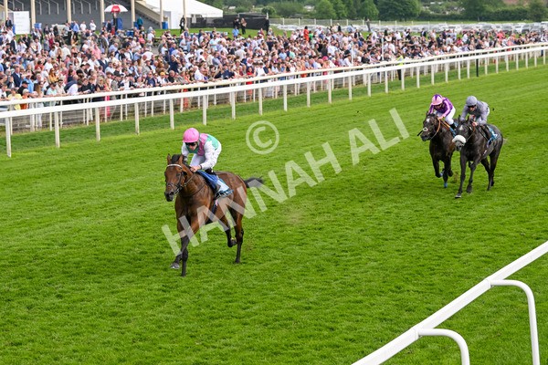 170524-Race 5-Lead Artist-8317 - Race 5 4.15pm  Darley EBF Novice Stakes