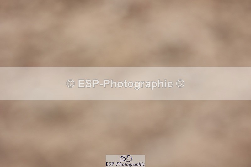 250620-095133-00299 - BD Cls 6 - Freestyle Novice