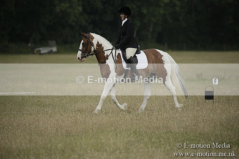 B230619-0210 - Bourne Valley Riding Club Summer Show 23/06/19