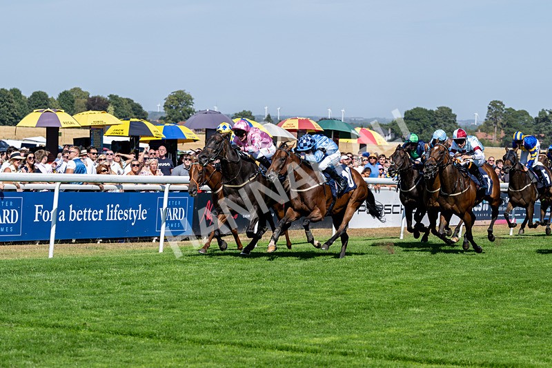 120826-Race 3-Sir David-6122 - Race 3 15.15pm Clearanswer Call Centres Handicap
