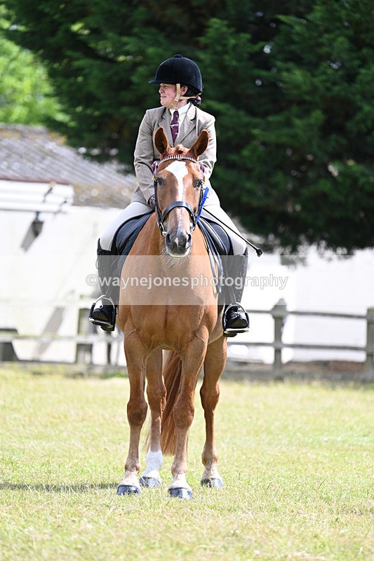 WJ7_9901 - Class 8 Ridden Veterans