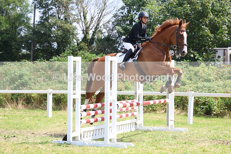 3E7A3004 - Class 7: Senior British Novice/90cm open