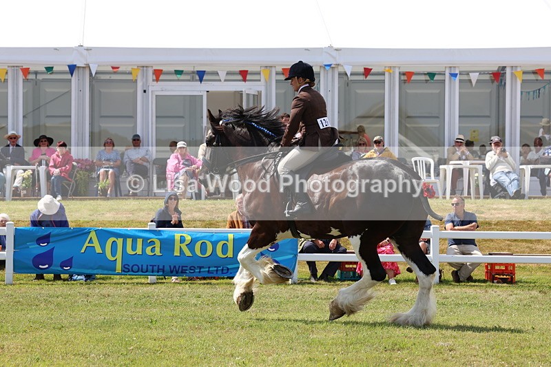 3E7A2886 - Class 13: Heavy Horse Ridden