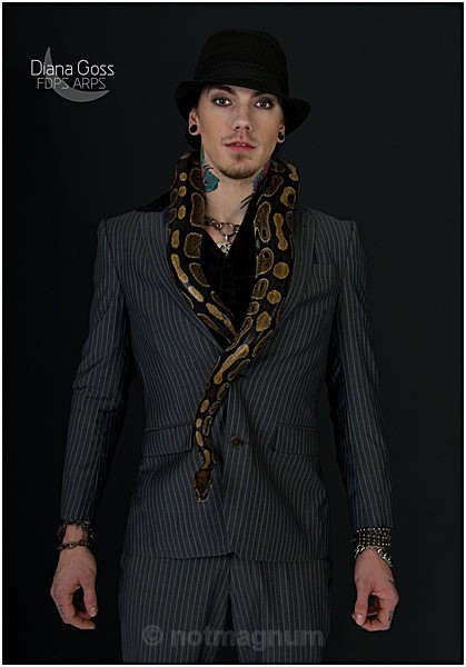 snakes in suits - STUDIO