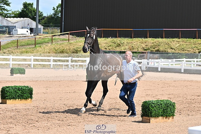 240718A-105258-01395 - Trot Up 12pm to 1pm