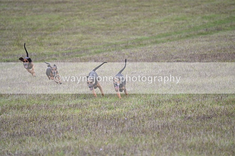 WJ6_0873 - Camera 2 Line 2