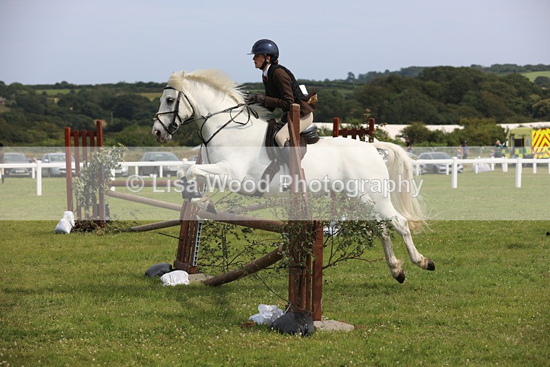 JPP_4008 - Class 24: Working Hunter 90cm