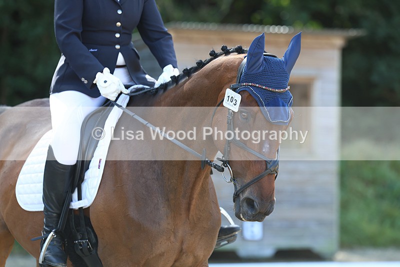 3E7A2562 - Class 1: Intro 4 2024 section A