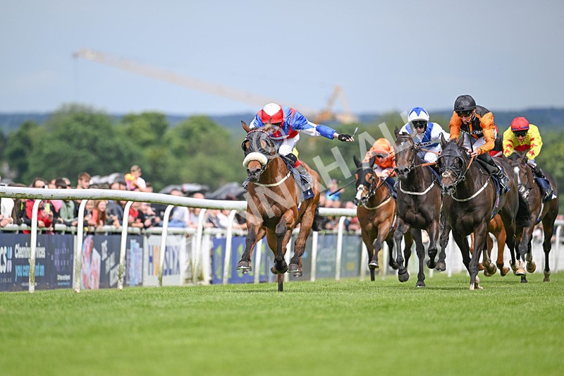 290524-Race 4-Makeen-6489 - Race 4