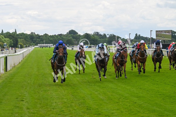 140624-Race 2-Inconspicuous-3956 - Race 2 2.25pm CGE Yorkshire Rous Selling Stakes