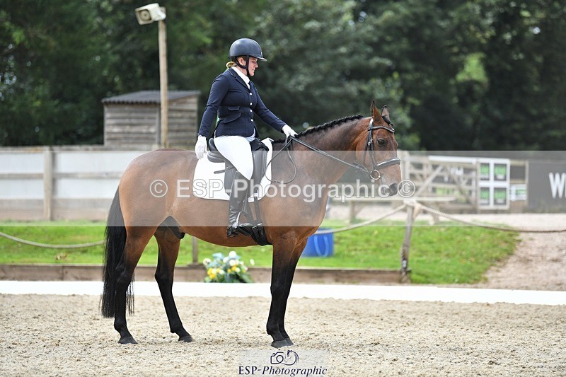 230812-130152-04264 - Cls 6 Novice Silver 12.10 to End