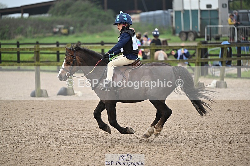 241110-093859-00034 - 40cm Showjumping