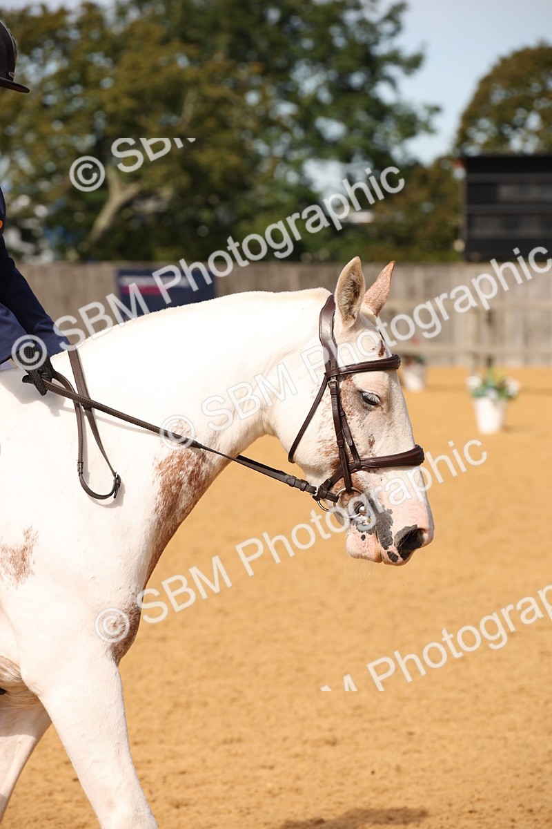 SBM_21753 - D5 - Small Tour Championship - Intro C