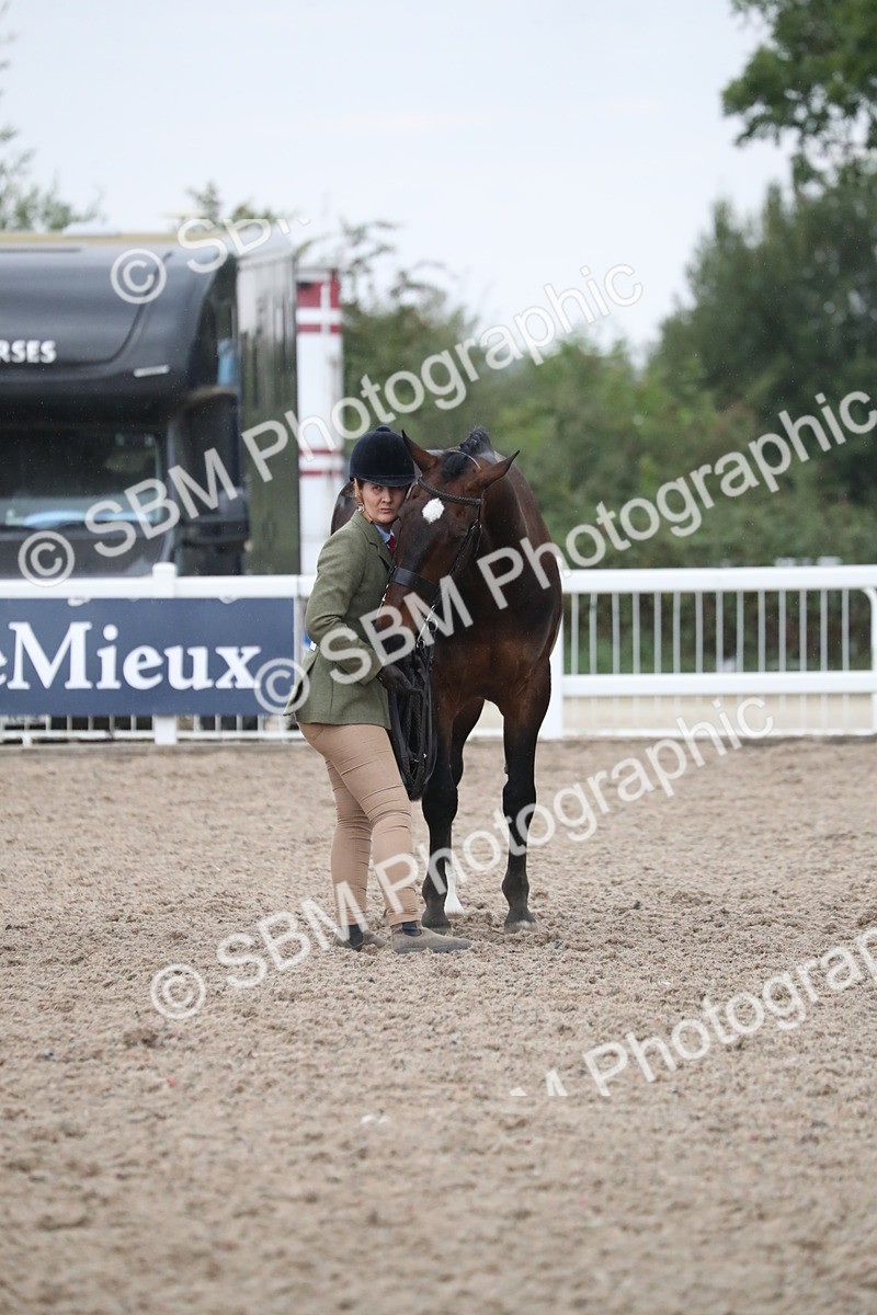 SBM_18400 - Class 318 IH Part bred Horse/Pony