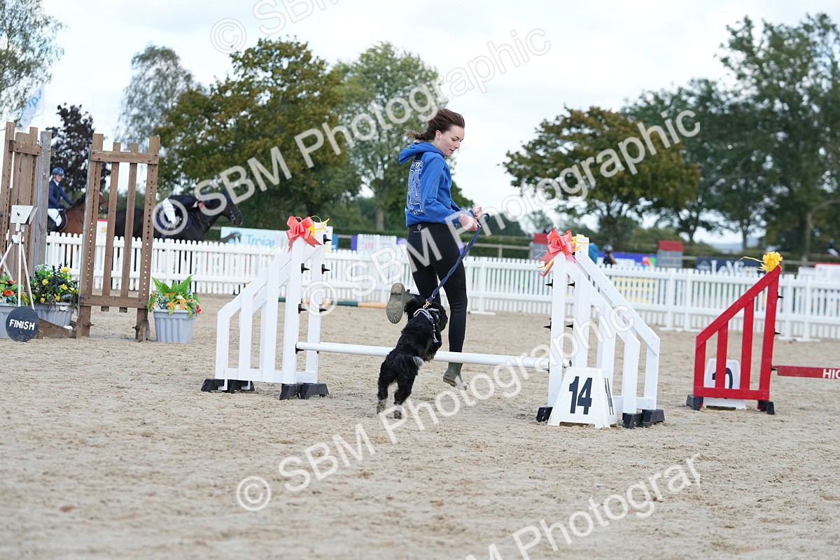 SBM_29193 - J43 - Horse & Hound Open 50cm