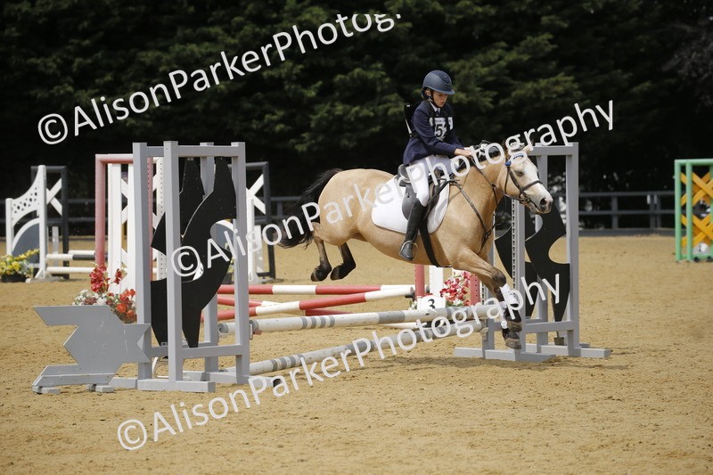 20250622-4658 - 50cm