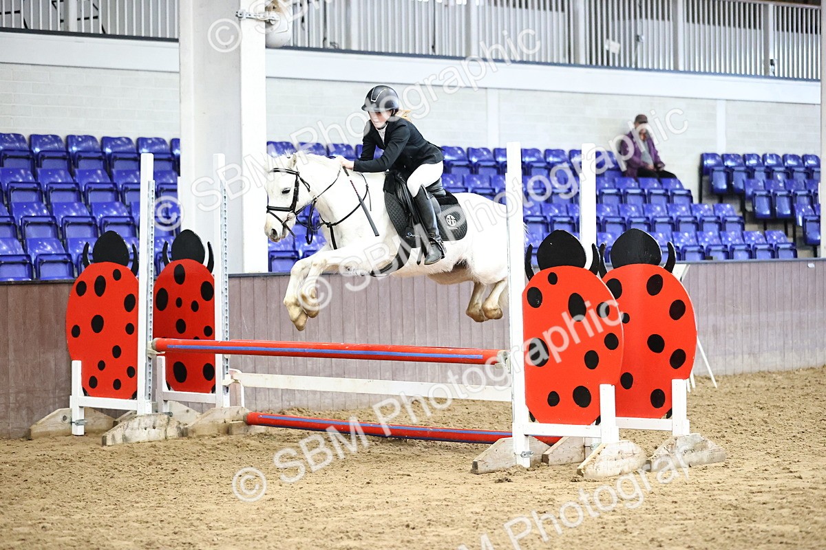 SBM_001512 - Class 9 - Pony British Novice 80cm